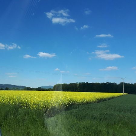Agroturystyka "Jagap" Oaza Spokoju Дзержонюв Экстерьер фото