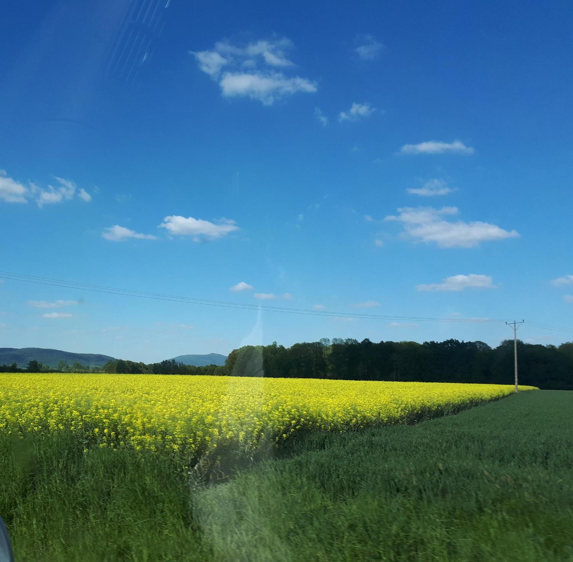 Agroturystyka "Jagap" Oaza Spokoju Дзержонюв Экстерьер фото