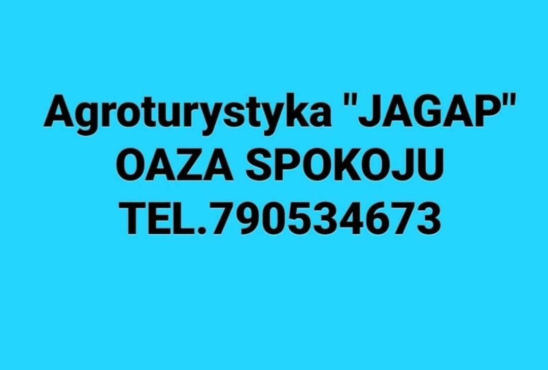 Agroturystyka "Jagap" Oaza Spokoju Дзержонюв Экстерьер фото